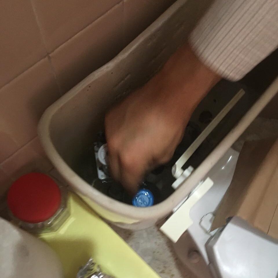 1b85070b-fc4f-476f-9ad1-8531649fa79f