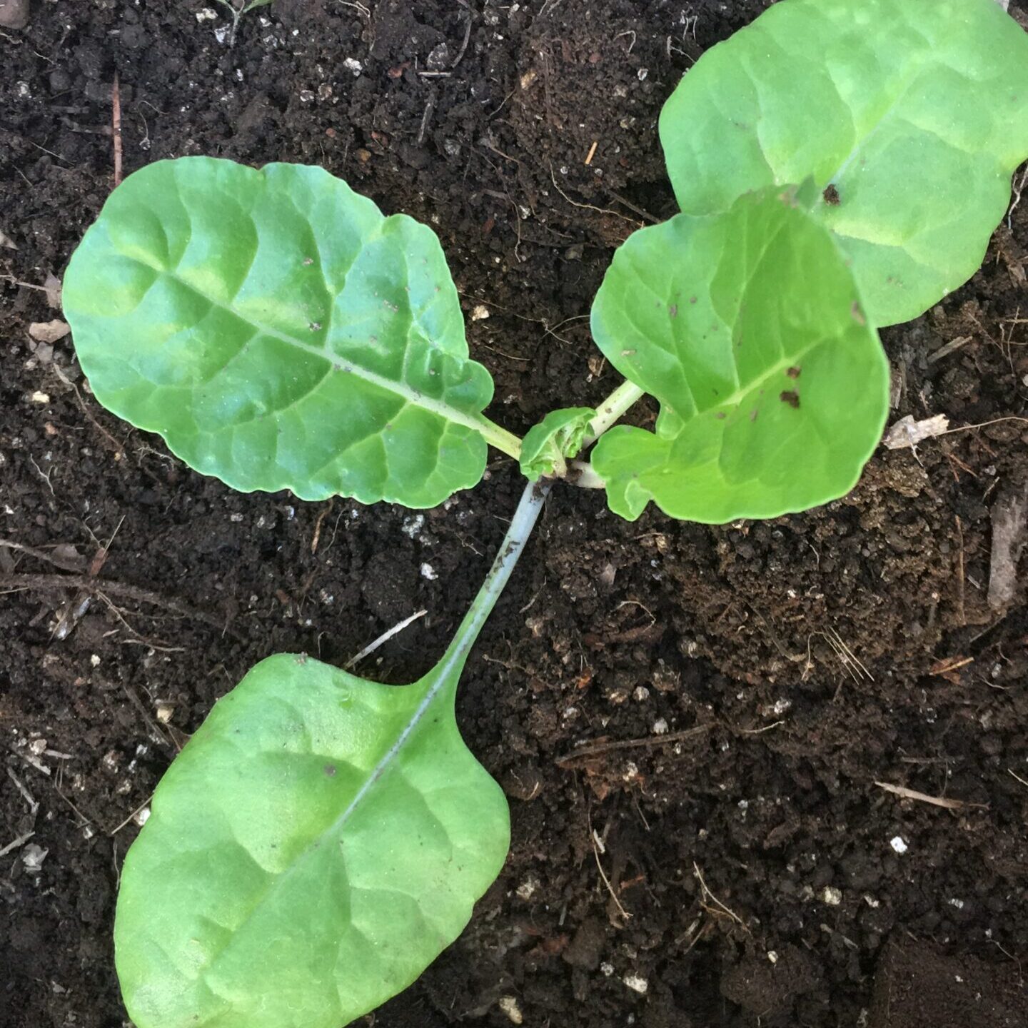 7FDDB7CA-92C9-4209-8AB5-539B77951C5F