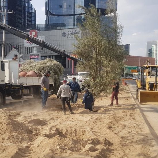 810e3724-ad3e-4d58-9737-ce84b72e1615-e1658969689786