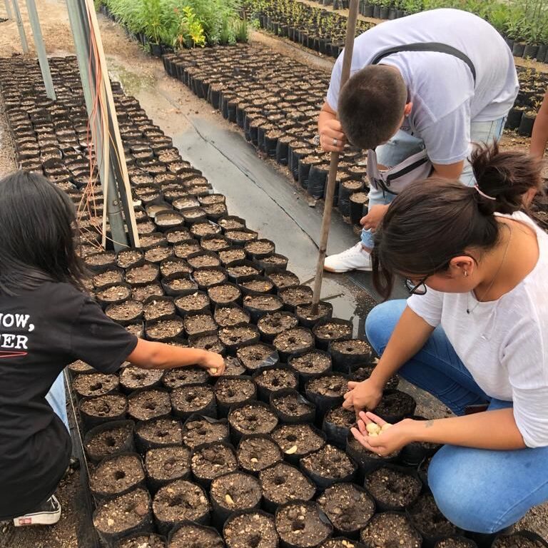 Aprender-a-despertar-3