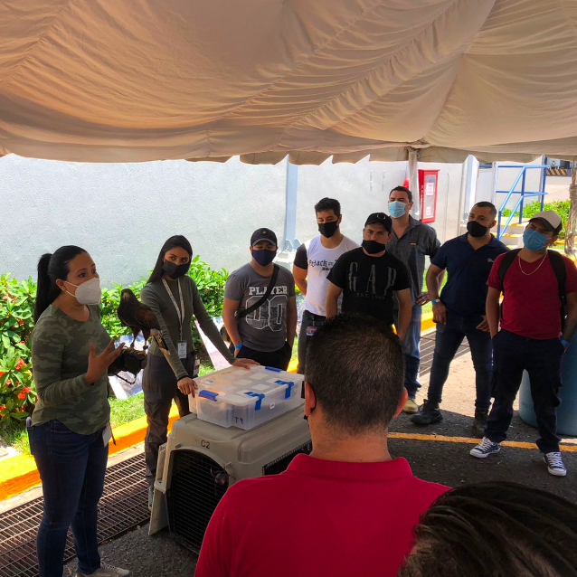 Feria-DSM-Sustentabilidad-2022-06-08-at-22.29.31