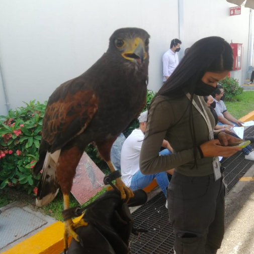 Feria-DSM-Sustentabilidad-2022-06-08-at-22.32.21