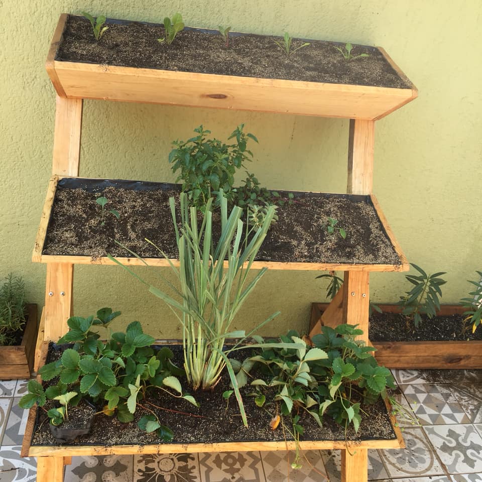 Huerto-en-Casa-escalonado-3
