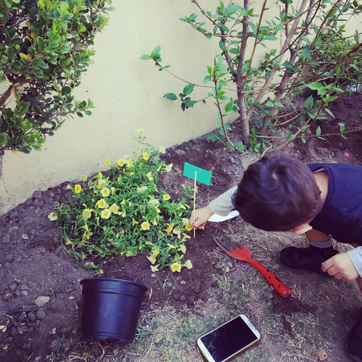 Mision_montessori_ambiental