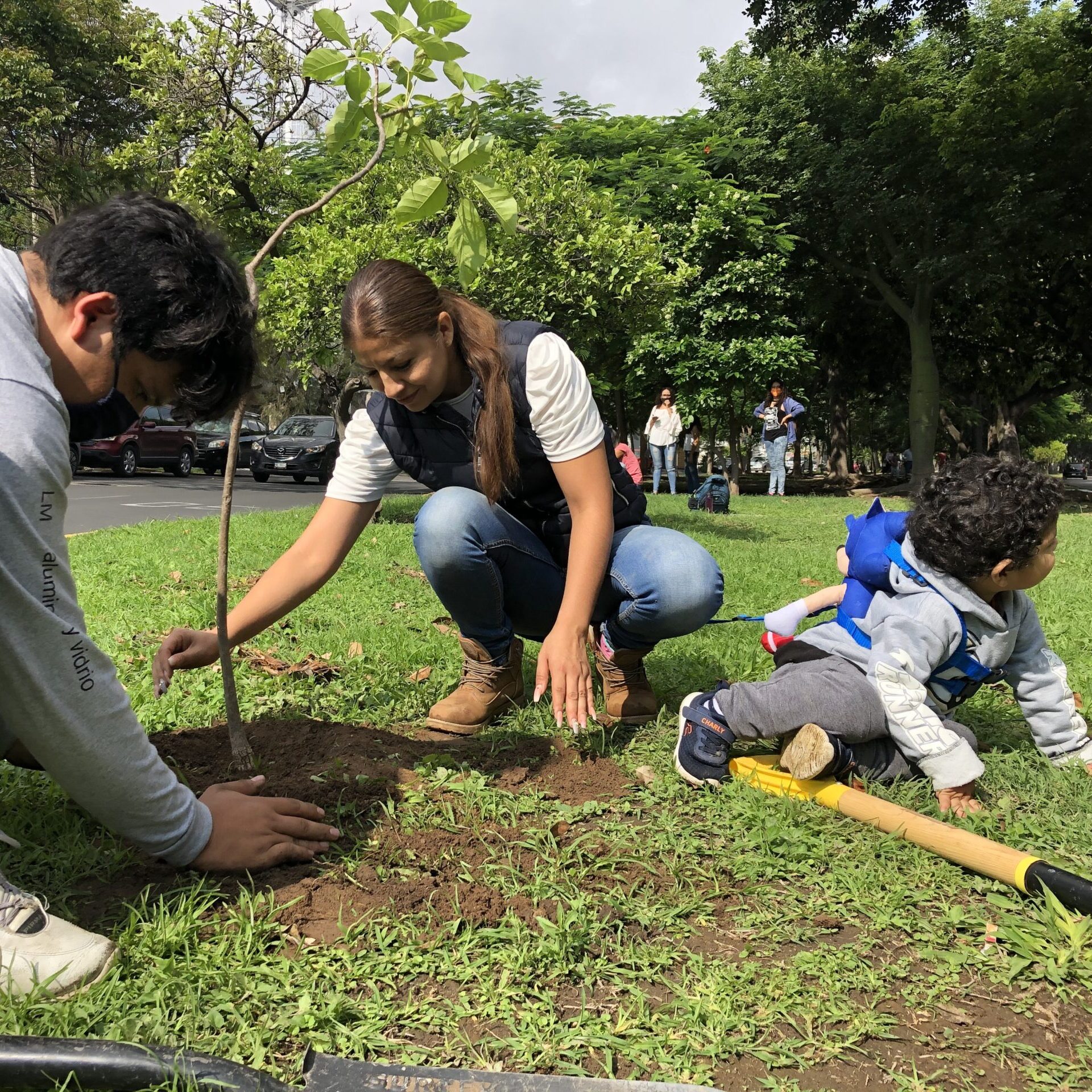 Reforestaciones