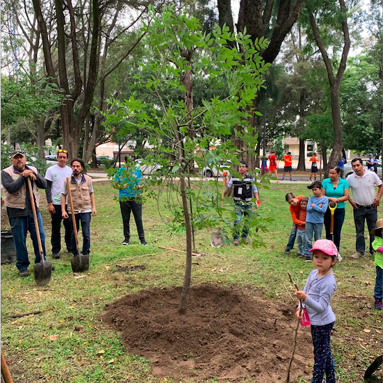 Screen-Shot-2019-10-25-at-6.10.57-PM