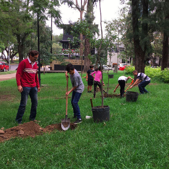 Screen-Shot-2019-10-25-at-6.12.16-PM