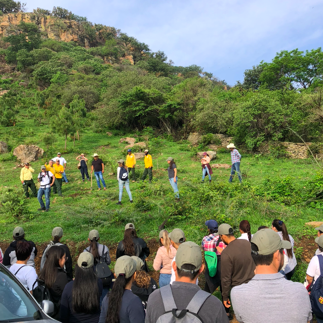 Screen-Shot-2022-07-10-at-22.44.57