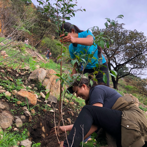 Screen-Shot-2022-07-10-at-22.46.02