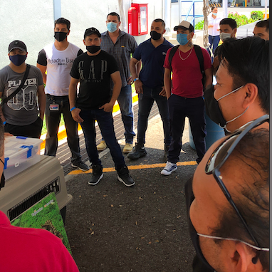 Screen-Shot-2022-07-28-at-1.15.01