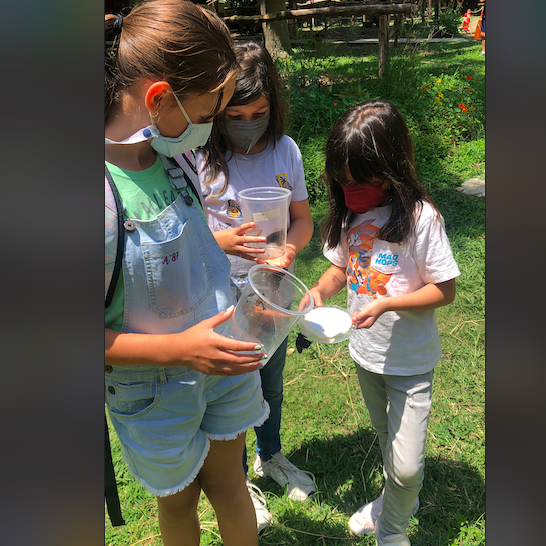 Screen-Shot-2022-07-28-at-2.14.20