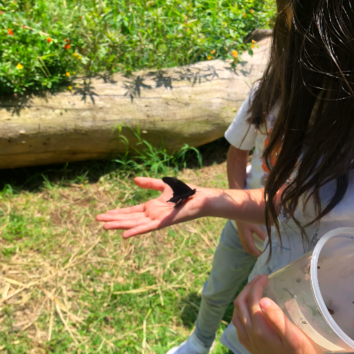 Screen-Shot-2022-07-28-at-2.14.47