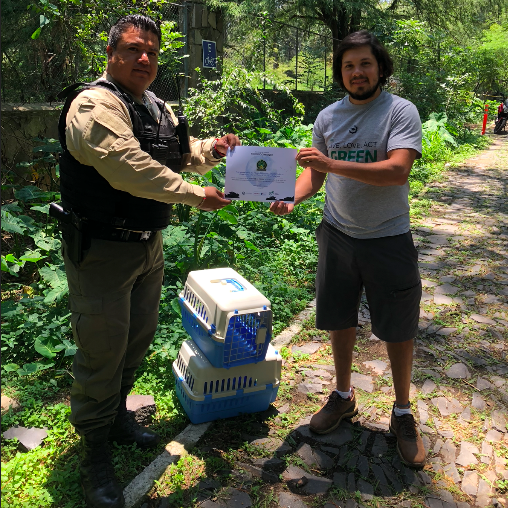 Screen-Shot-2022-07-28-at-2.22.35