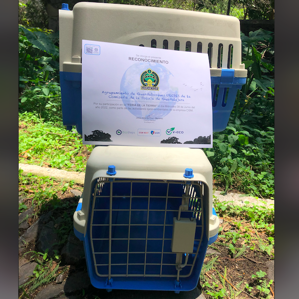 Screen-Shot-2022-07-28-at-2.23.23