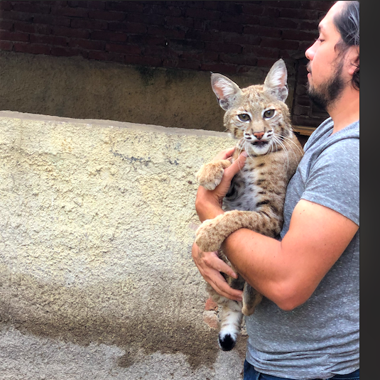 Screen-Shot-2022-07-28-at-2.23.58