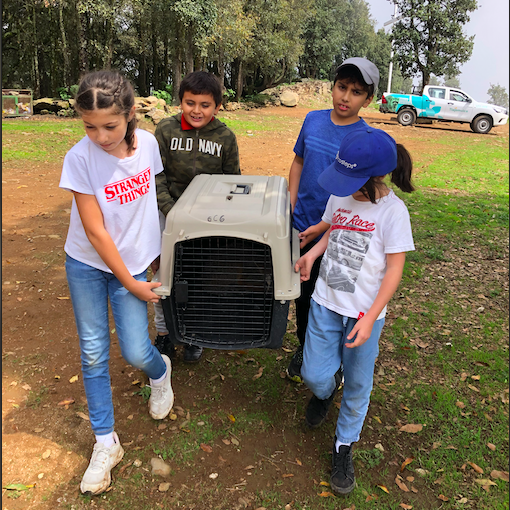 Screen-Shot-2022-07-28-at-2.24.30