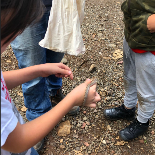 Screen-Shot-2022-07-28-at-2.26.54