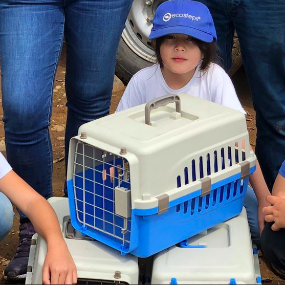 Screen-Shot-2022-07-28-at-2.30.09