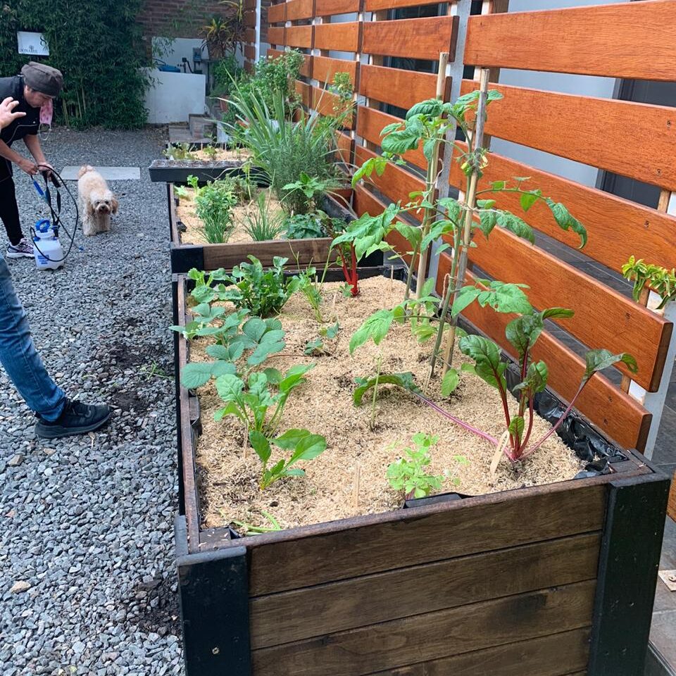 WhatsApp-Image-2020-12-08-at-5.45.56-PM-1