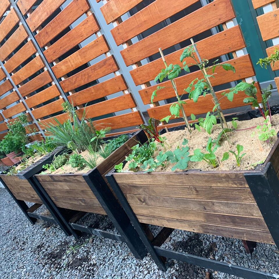 WhatsApp-Image-2020-12-08-at-5.45.56-PM