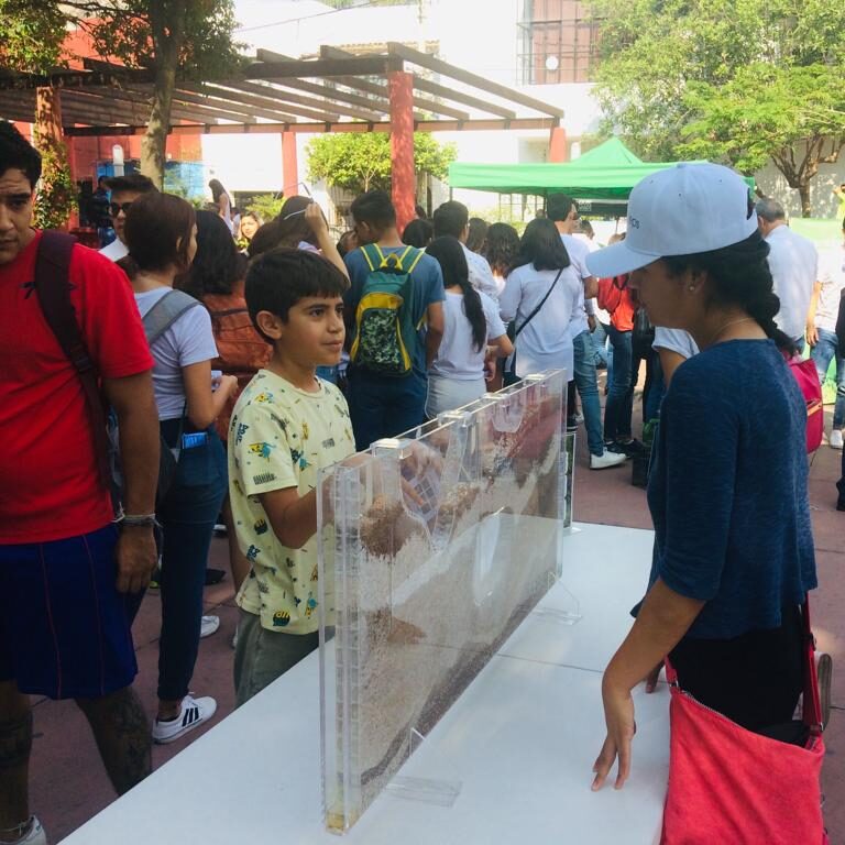 b5a85994-2f85-48d4-85e5-362c4c0c87c5