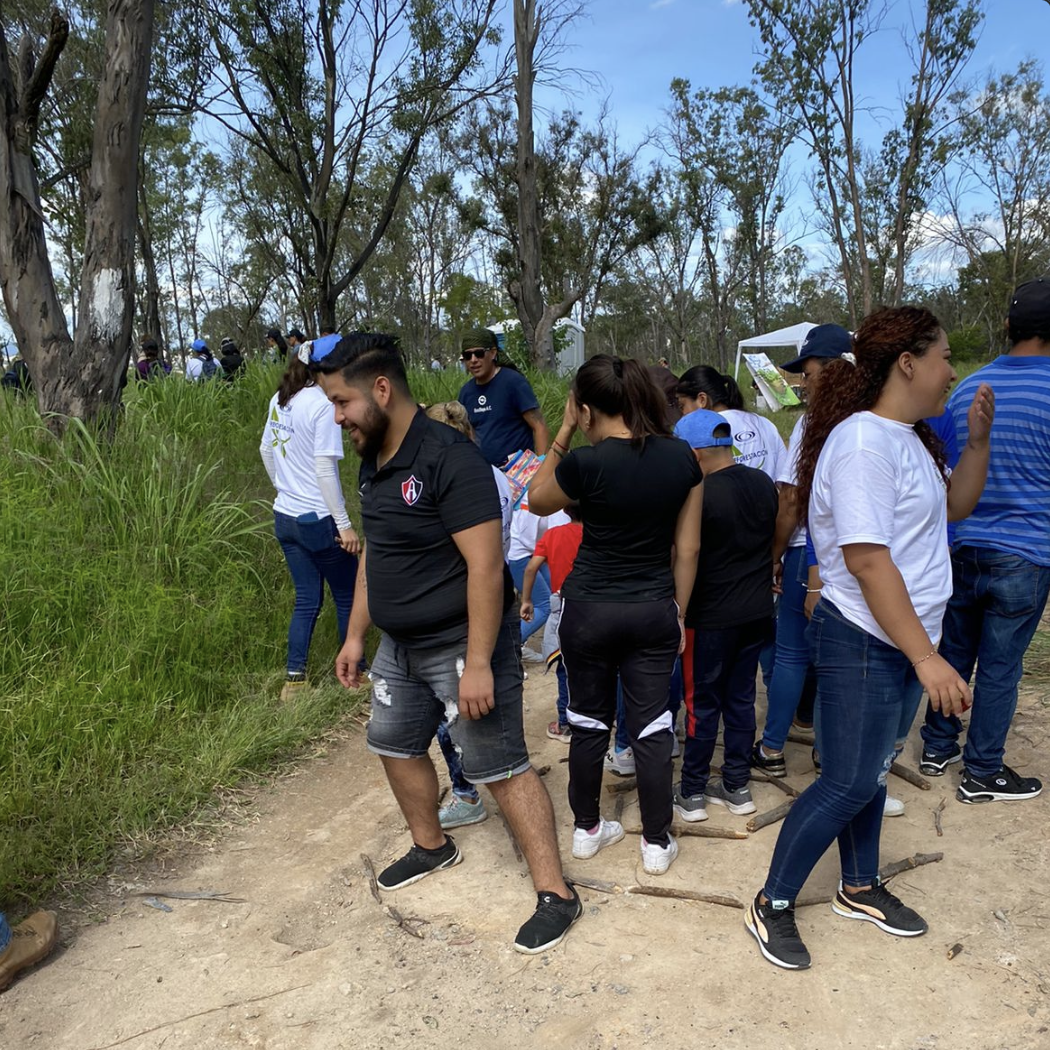 Juego Ambiental Forestal Anillos Forestales Guadalajara