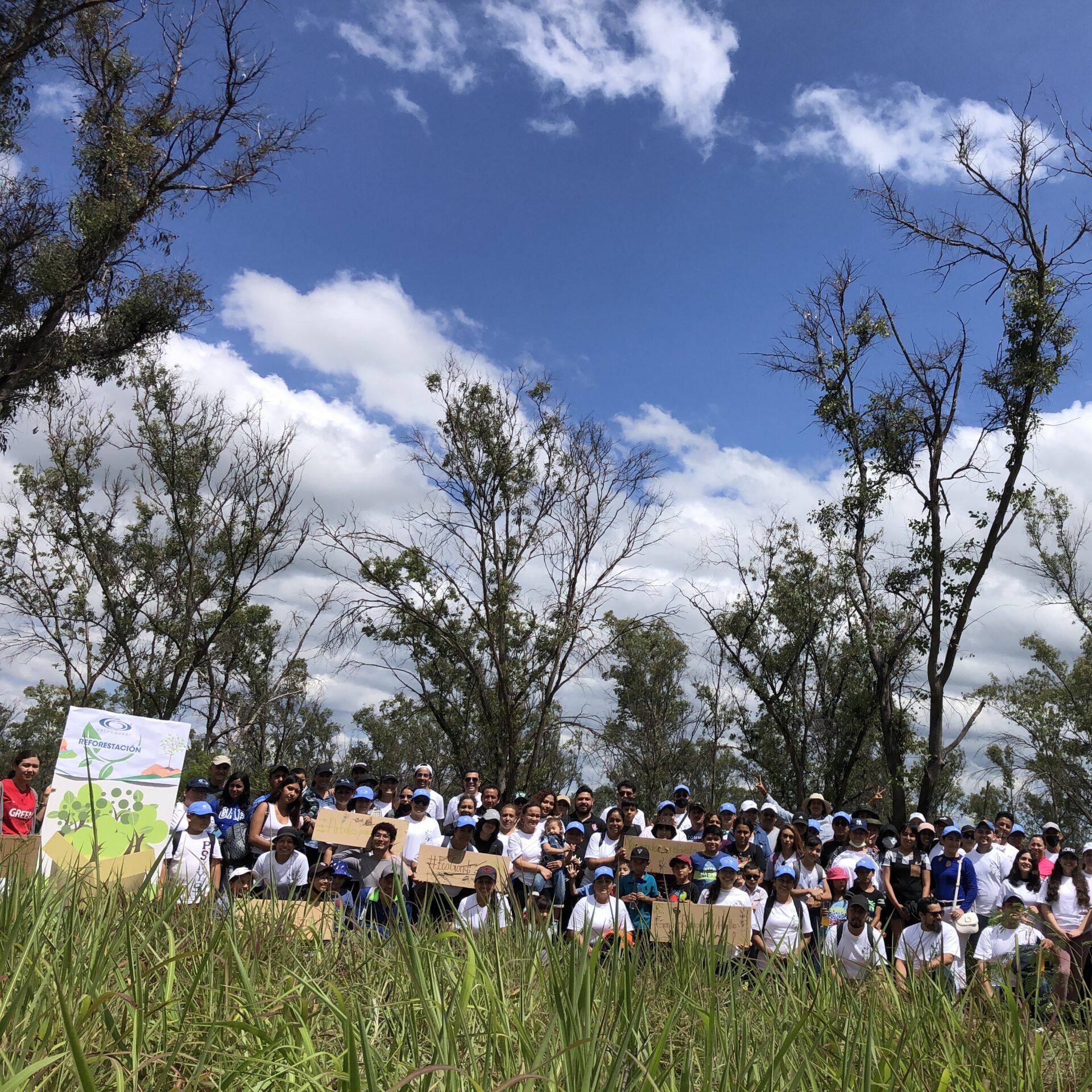 Reforestacion empresarial gondi guadalajara 7