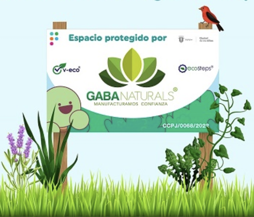 Screen Shot 2022-09-07 at 16.54.24