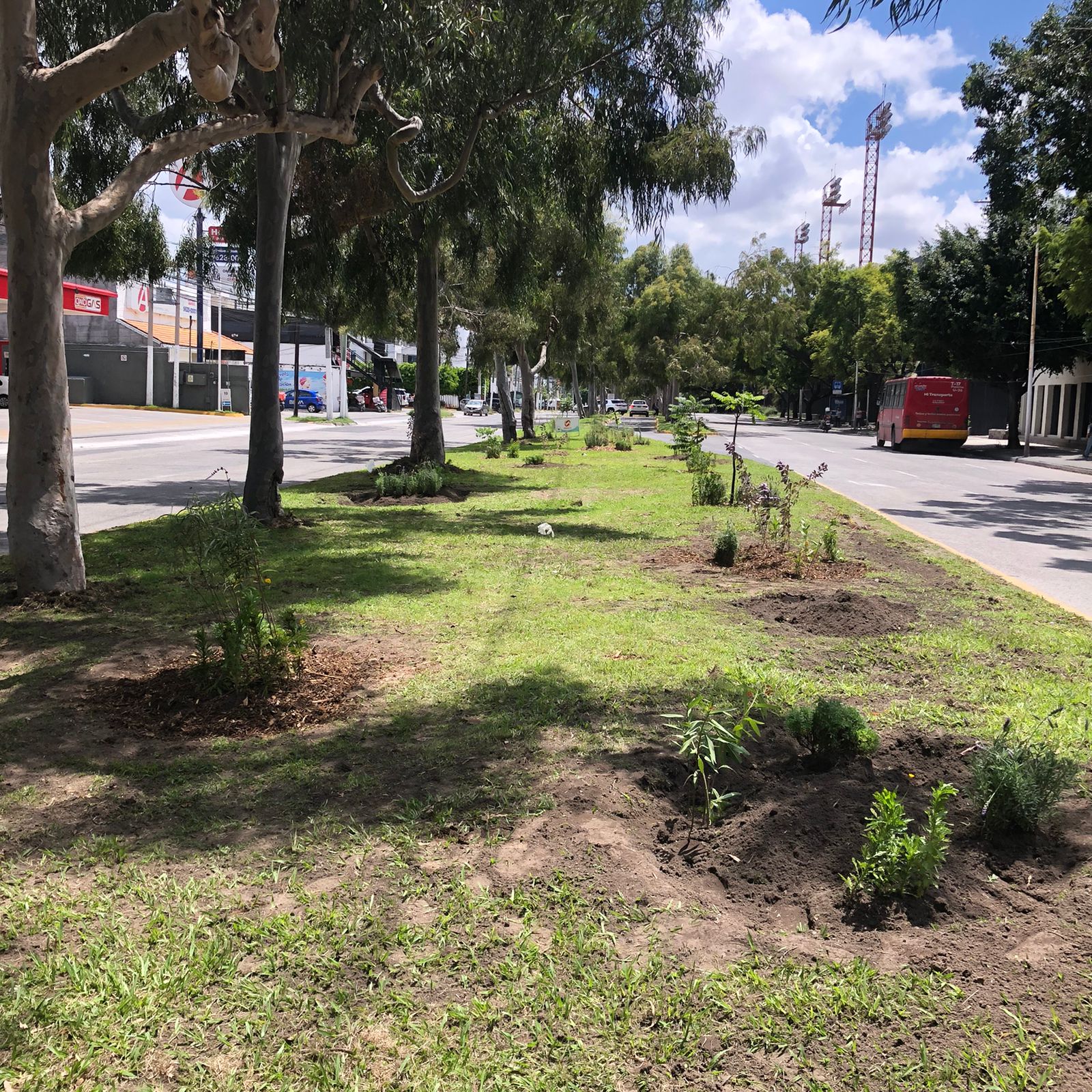 WhatsApp Image 2022-09-04 at 11.32.09 PM(5)