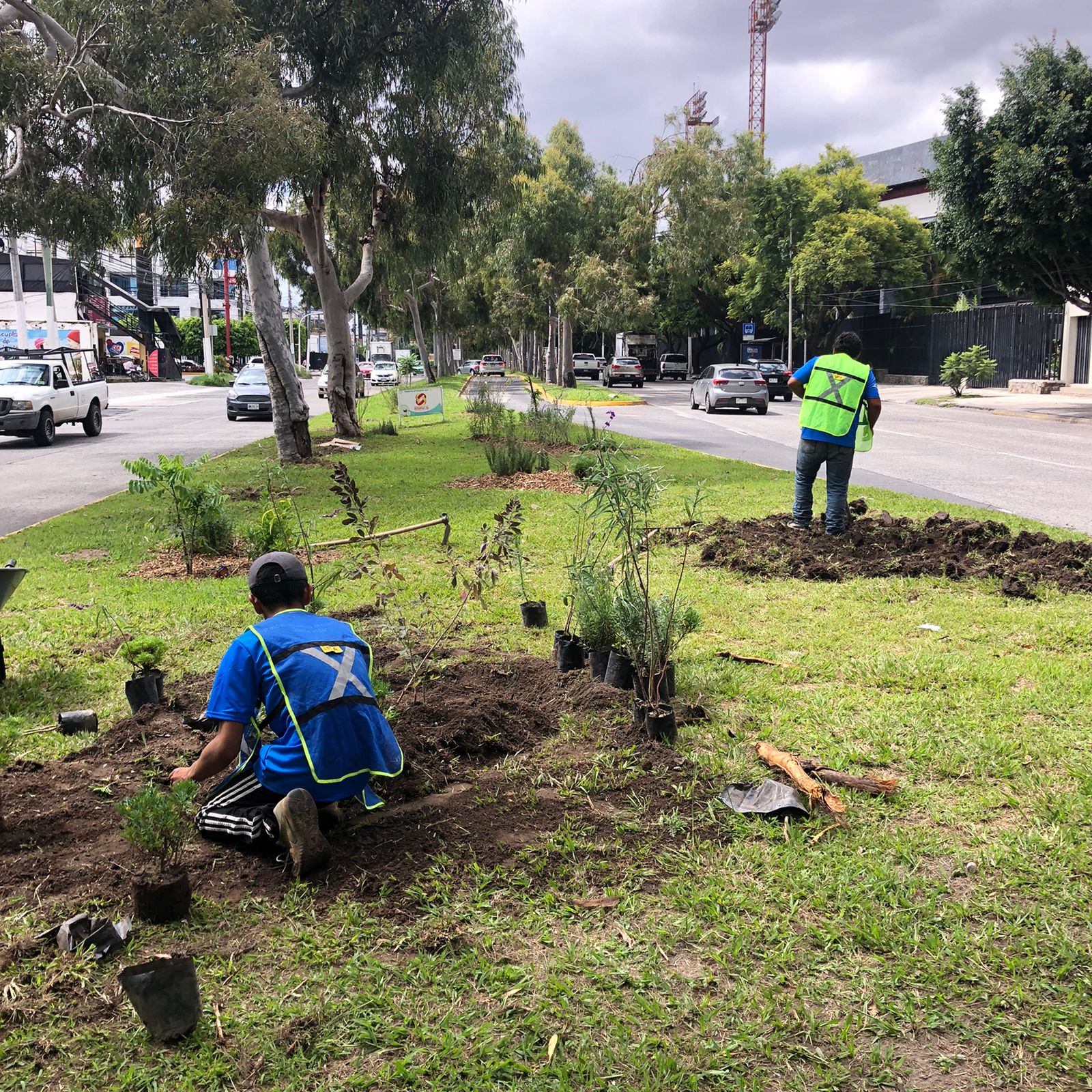 WhatsApp Image 2022-09-04 at 11.32.09 PM(7)