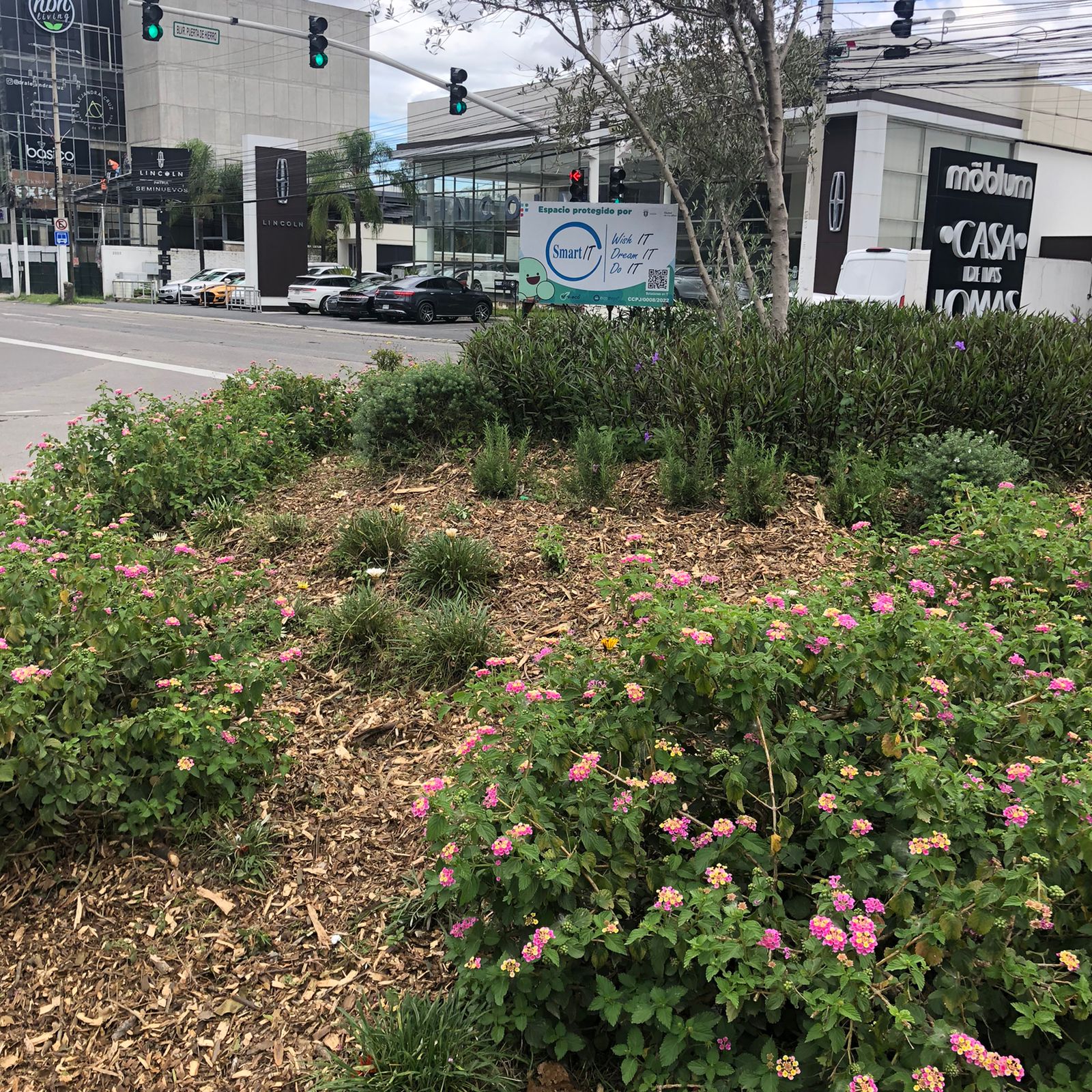 WhatsApp Image 2022-09-06 at 6.21.45 PM