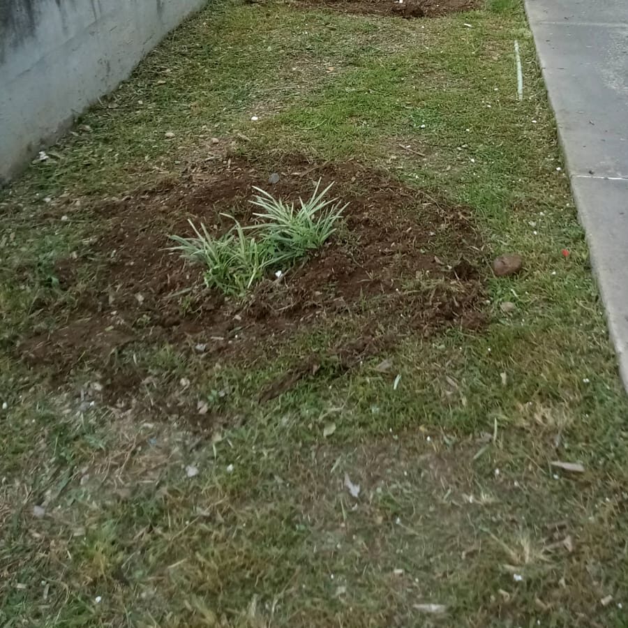 WhatsApp Image 2022-09-06 at 6.57.38 PM