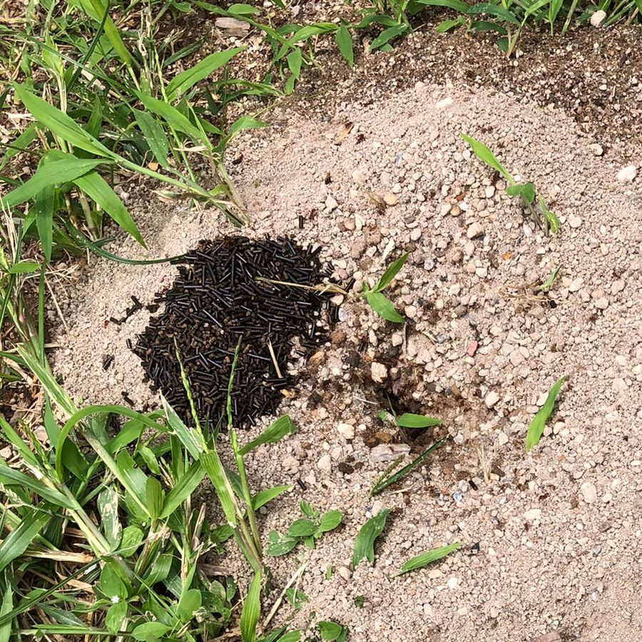 WhatsApp Image 2022-09-17 at 2.21.00 PM(2)