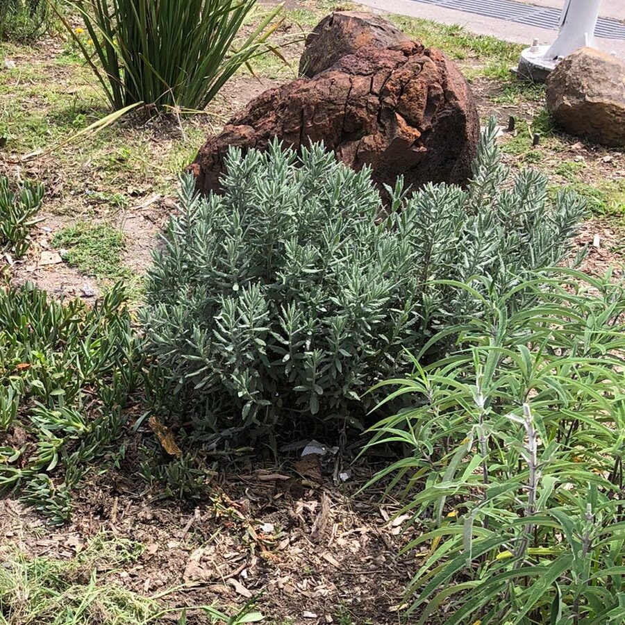 WhatsApp Image 2022-09-17 at 2.21.55 PM