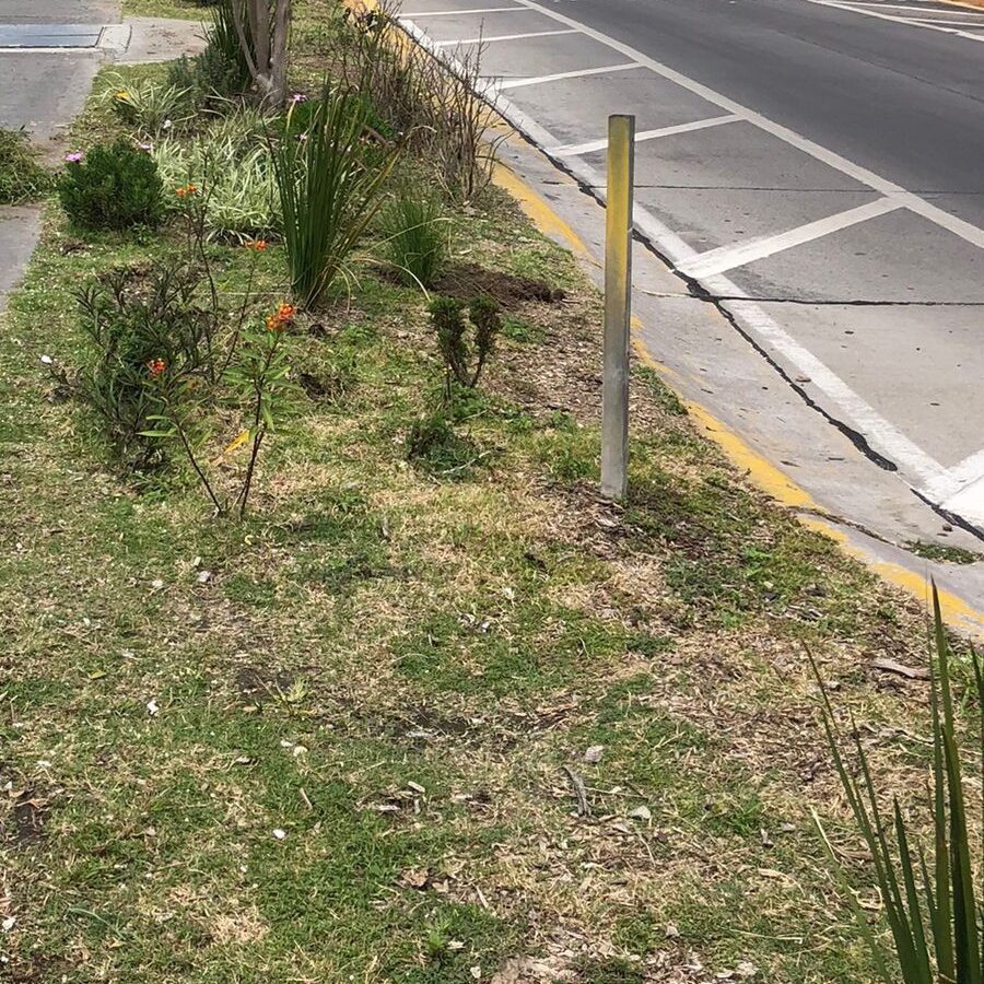 WhatsApp Image 2022-09-17 at 2.21.55 PM(2)