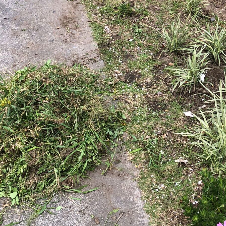 WhatsApp Image 2022-09-17 at 2.21.56 PM