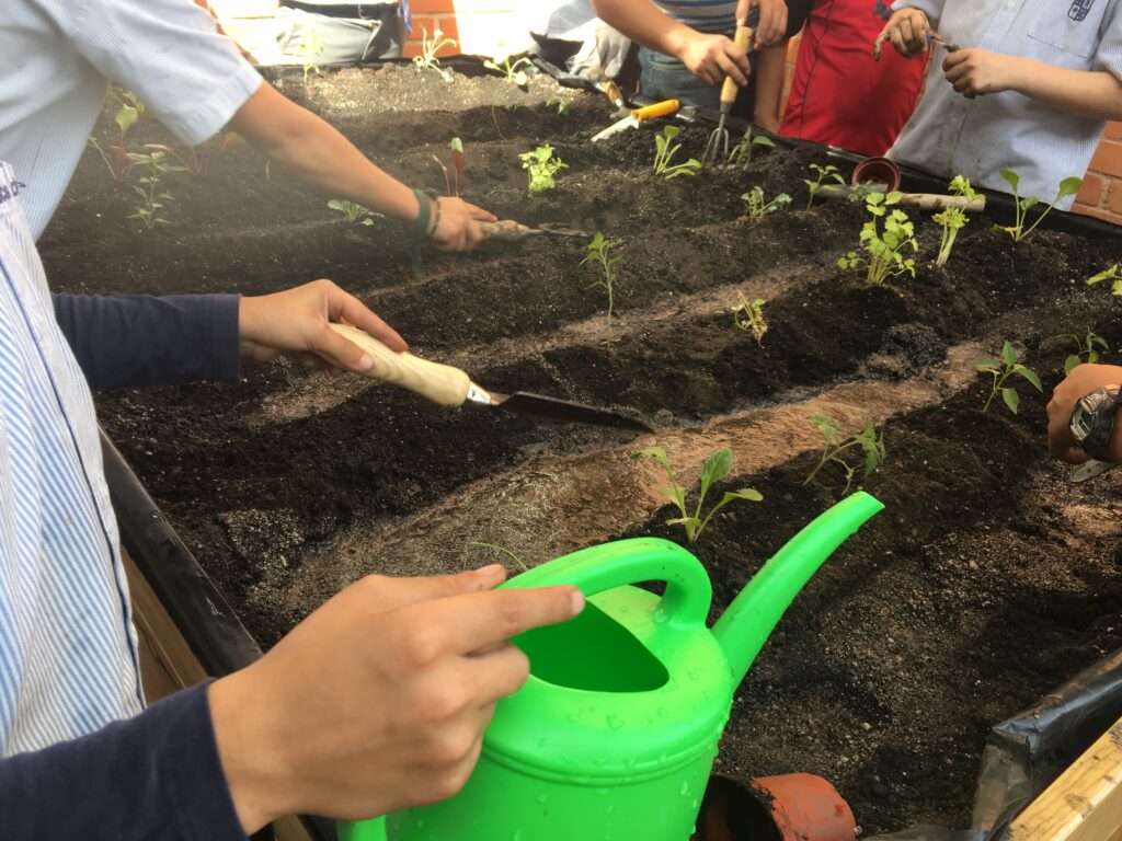 Alumnos huerto escuela