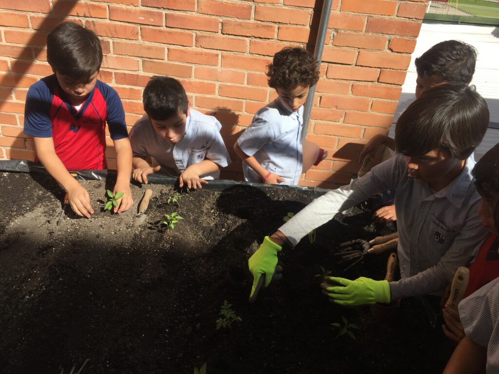Huerto Escuela 1