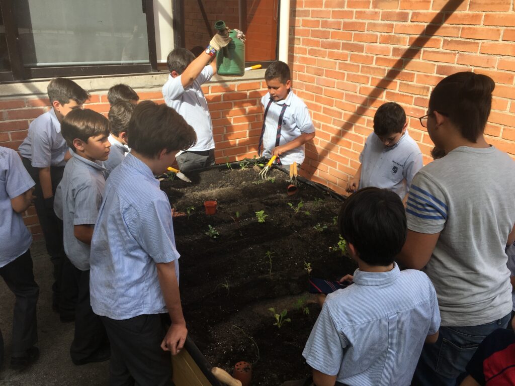 Huerto en escuela