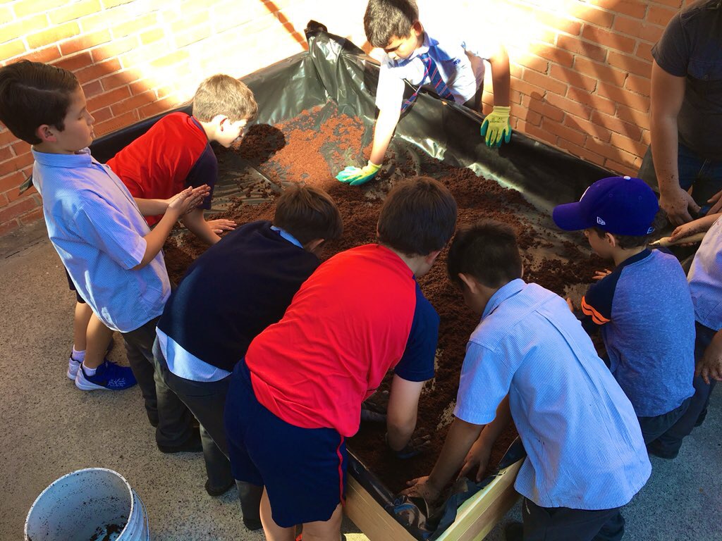 Huerto para escuela