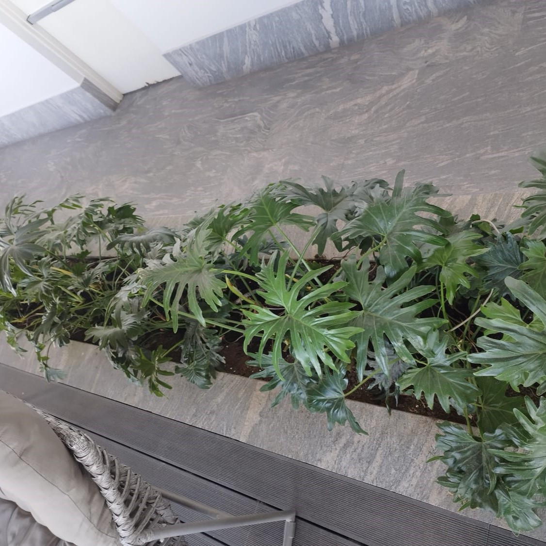 622e54e8-0cbd-4d0b-b808-e5cc004321d8