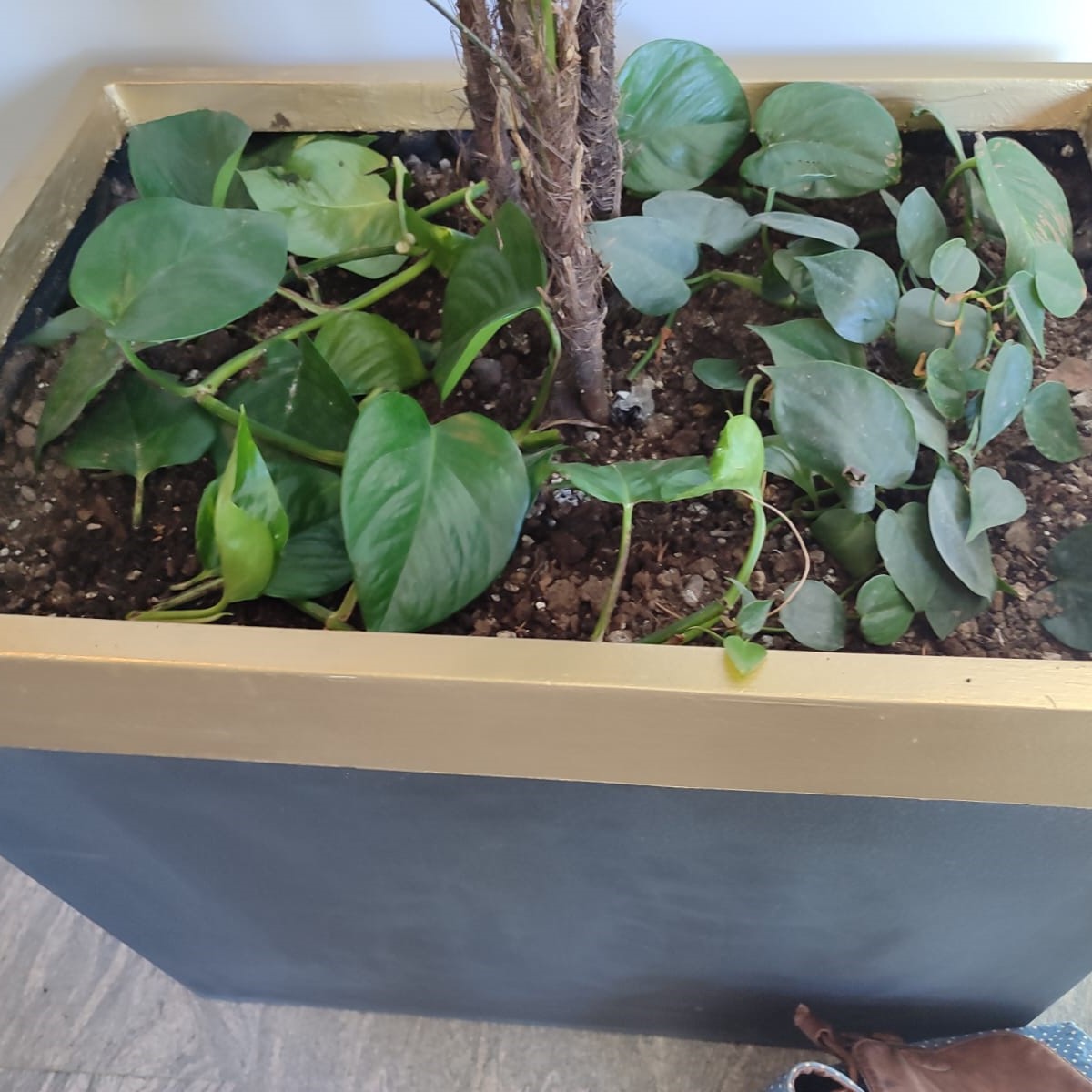 765b5f6b-d1ce-4a5e-ba80-ea5143f6b3b0