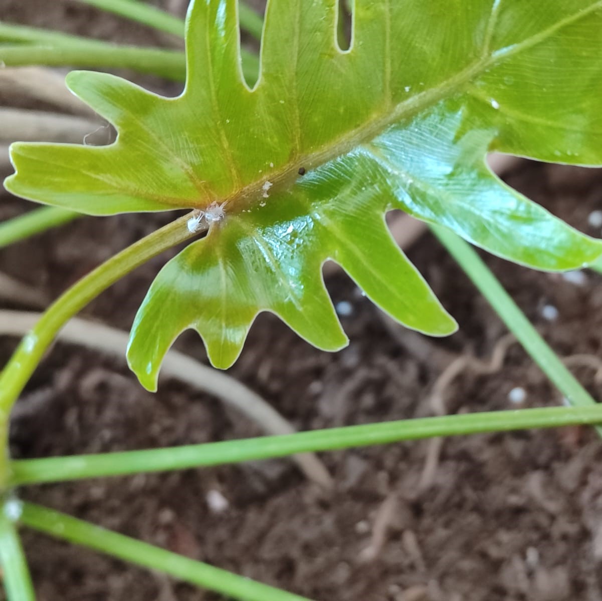 7799eea4-06bd-4b4f-8b3a-a9e5ca4c989e