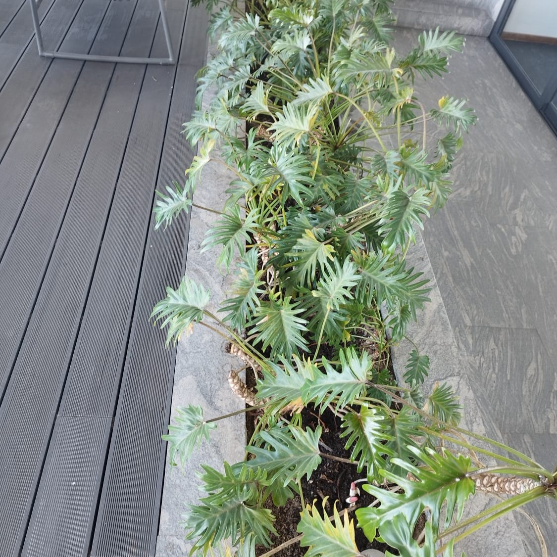 8059c1fd-59b1-456b-ac39-8e09b2a84660