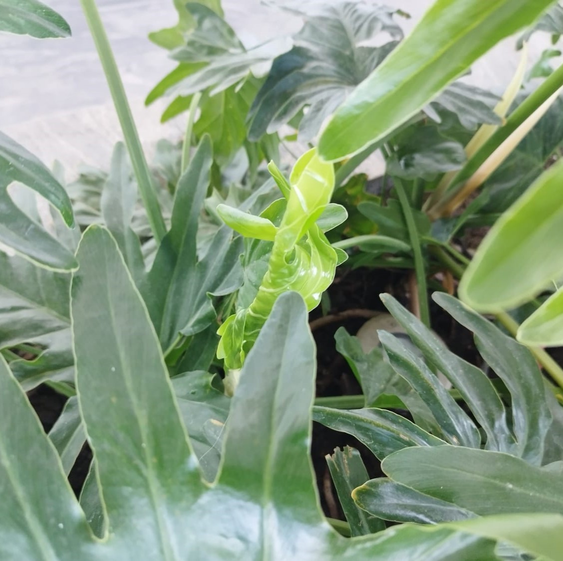 c04fd816-ca9d-4472-b67a-32cae4701c46