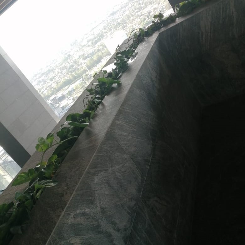 d63389f4-41aa-4da0-a9da-669e97c14399