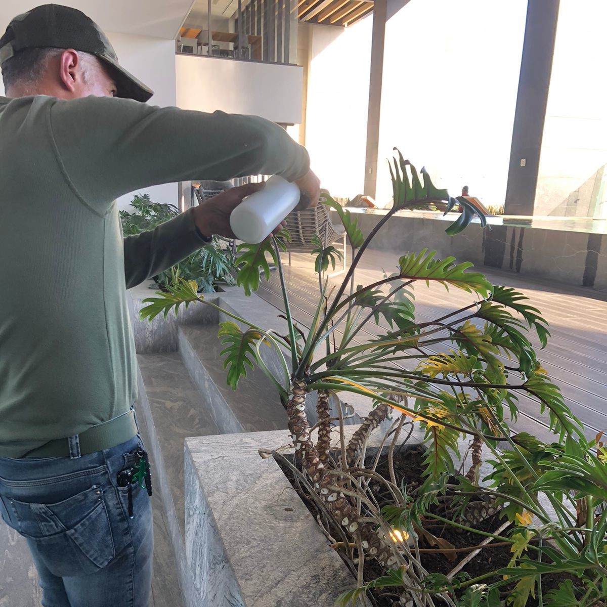 de838f68-9a73-4b43-b67d-b41ef269e05e